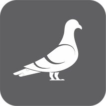 Control de Palomas