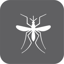 Prevención de Dengue