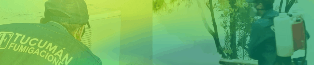 img-sec1-1024x213 Nosotros