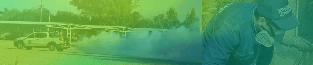 img-sec2-1-1024x213 Clientes